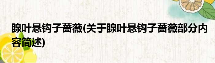 腺叶悬钩子蔷薇(关于腺叶悬钩子蔷薇部分内容简述)