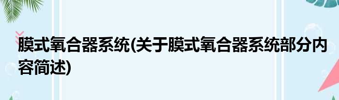 膜式氧合器系统(关于膜式氧合器系统部分内容简述)