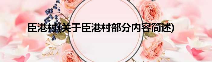臣港村(关于臣港村部分内容简述)
