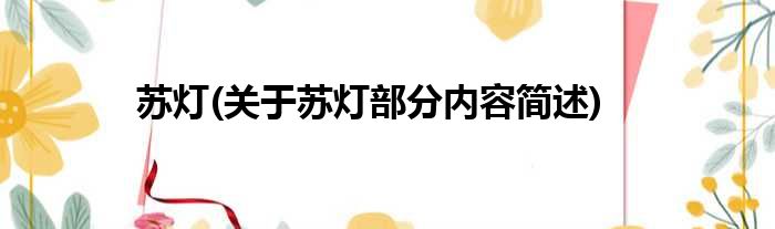 苏灯(关于苏灯部分内容简述)