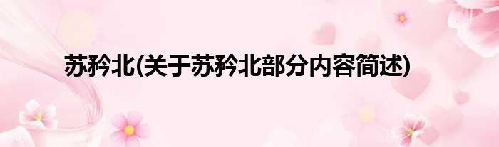 苏矜北(关于苏矜北部分内容简述)