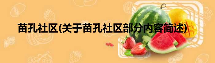 苗孔社区(关于苗孔社区部分内容简述)