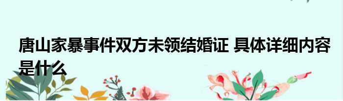 唐山家暴事件双方未领结婚证 具体详细内容是什么
