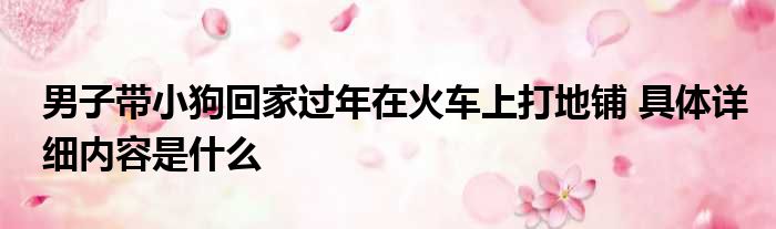 男子带小狗回家过年在火车上打地铺 具体详细内容是什么