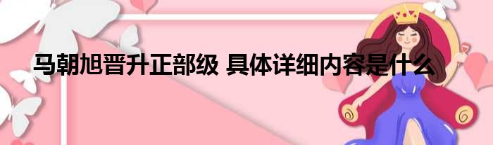 马朝旭晋升正部级 具体详细内容是什么