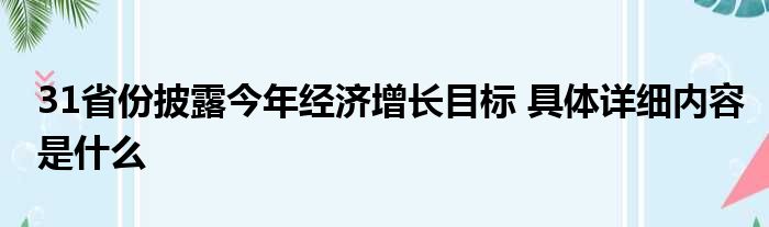 31省份披露今年经济增长目标 具体详细内容是什么