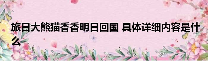 旅日大熊猫香香明日回国 具体详细内容是什么