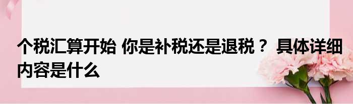 个税汇算开始 你是补税还是退税？ 具体详细内容是什么