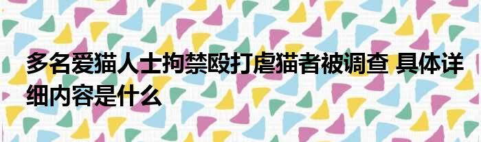 多名爱猫人士拘禁殴打虐猫者被调查 具体详细内容是什么