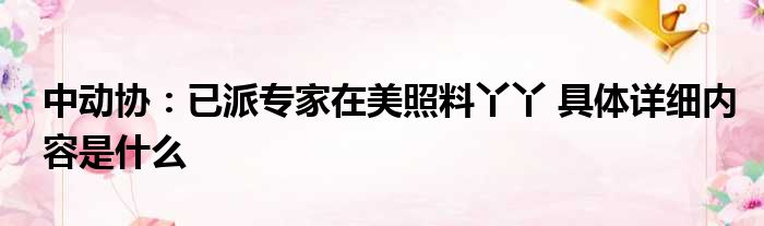 中动协：已派专家在美照料丫丫 具体详细内容是什么