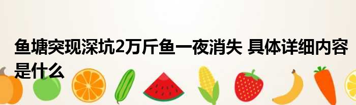 鱼塘突现深坑2万斤鱼一夜消失 具体详细内容是什么