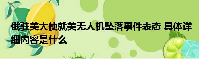 俄驻美大使就美无人机坠落事件表态 具体详细内容是什么