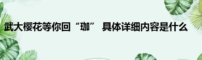 武大樱花等你回“珈” 具体详细内容是什么