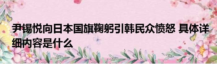 尹锡悦向日本国旗鞠躬引韩民众愤怒 具体详细内容是什么