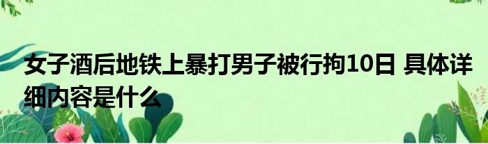 女子酒后地铁上暴打男子被行拘10日 具体详细内容是什么