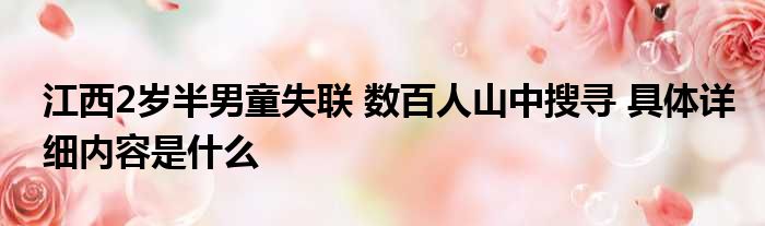 江西2岁半男童失联 数百人山中搜寻 具体详细内容是什么