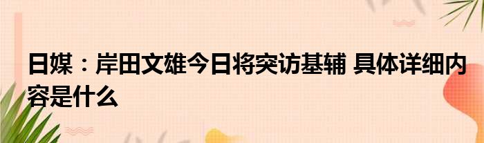 日媒：岸田文雄今日将突访基辅 具体详细内容是什么