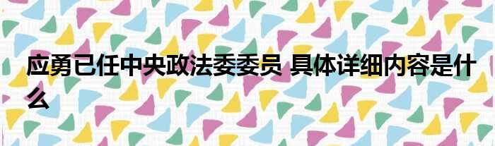 应勇已任中央政法委委员 具体详细内容是什么