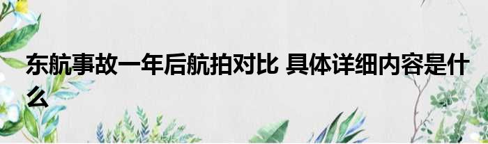 东航事故一年后航拍对比 具体详细内容是什么