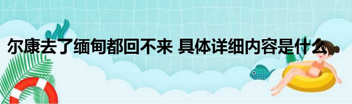 尔康去了缅甸都回不来 具体详细内容是什么