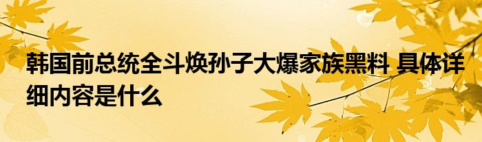 韩国前总统全斗焕孙子大爆家族黑料 具体详细内容是什么