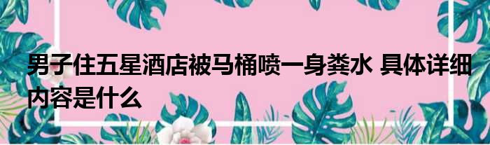 男子住五星酒店被马桶喷一身粪水 具体详细内容是什么