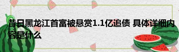 昔日黑龙江首富被悬赏1.1亿追债 具体详细内容是什么