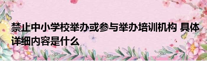 禁止中小学校举办或参与举办培训机构 具体详细内容是什么