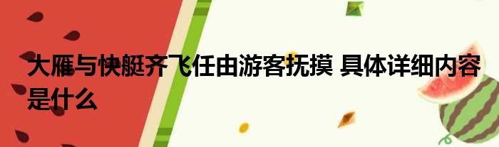 大雁与快艇齐飞任由游客抚摸 具体详细内容是什么