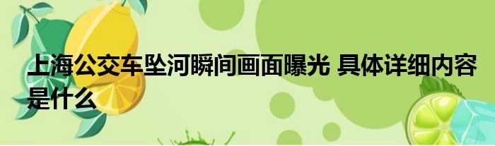 上海公交车坠河瞬间画面曝光 具体详细内容是什么