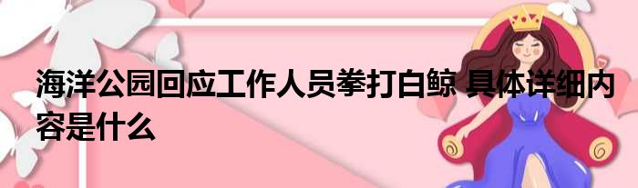 海洋公园回应工作人员拳打白鲸 具体详细内容是什么