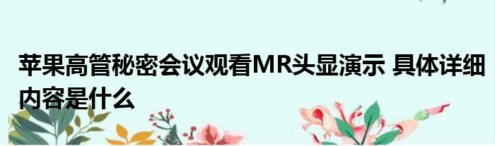 苹果高管秘密会议观看MR头显演示 具体详细内容是什么