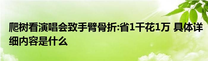 爬树看演唱会致手臂骨折:省1千花1万 具体详细内容是什么