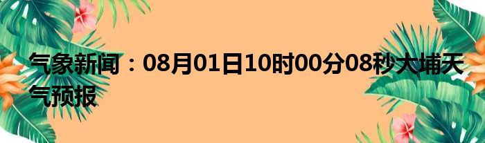 气象新闻：08月01日10时00分08秒大埔天气预报