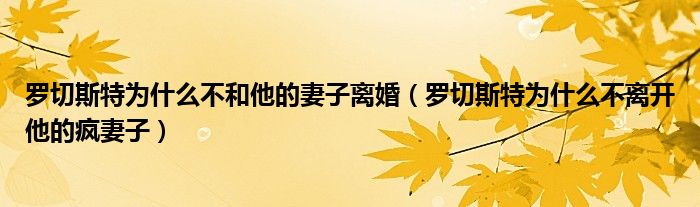 罗切斯特为什么不和他的妻子离婚（罗切斯特为什么不离开他的疯妻子）